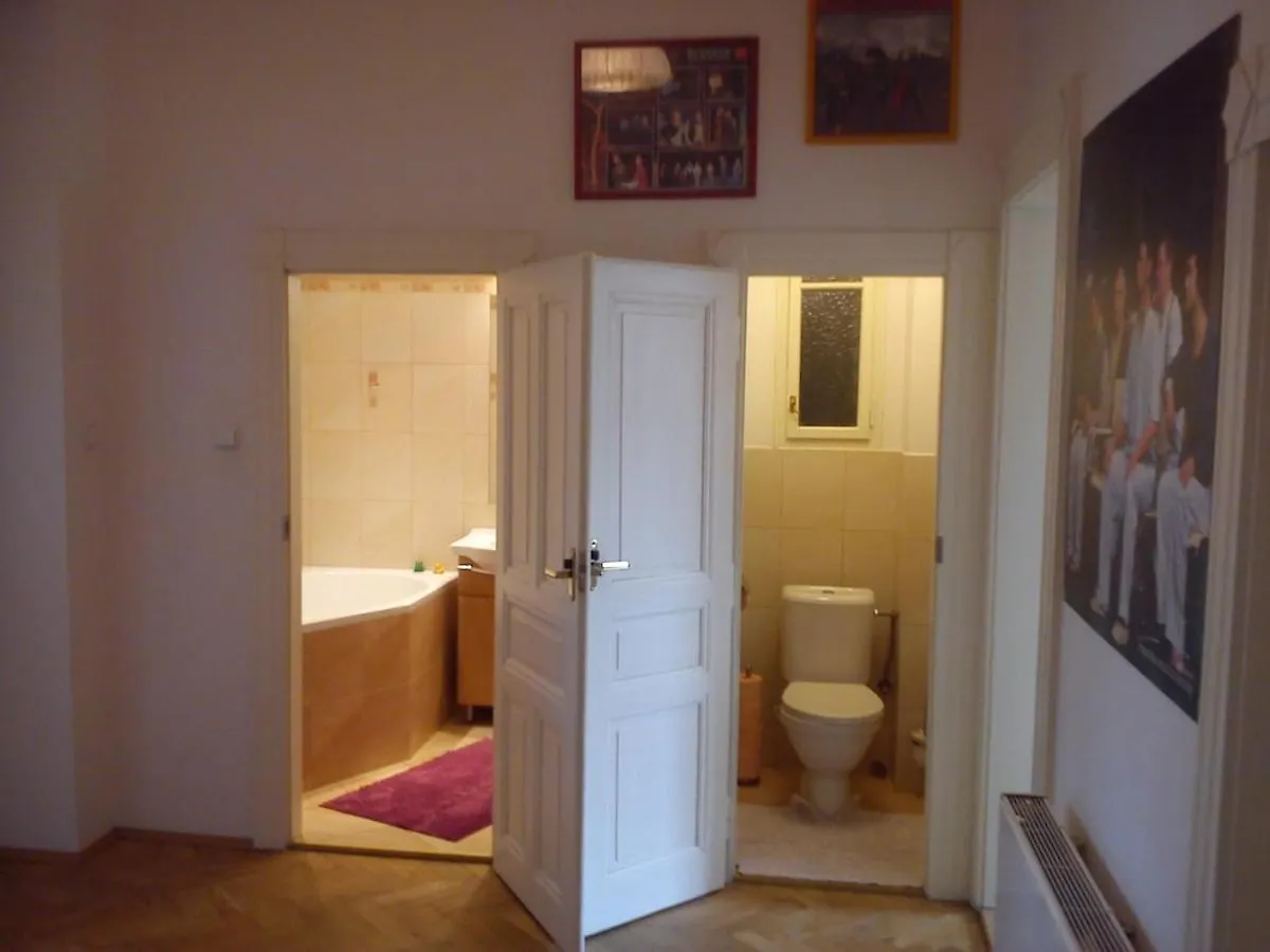 Rain Man'S Apartment Praga